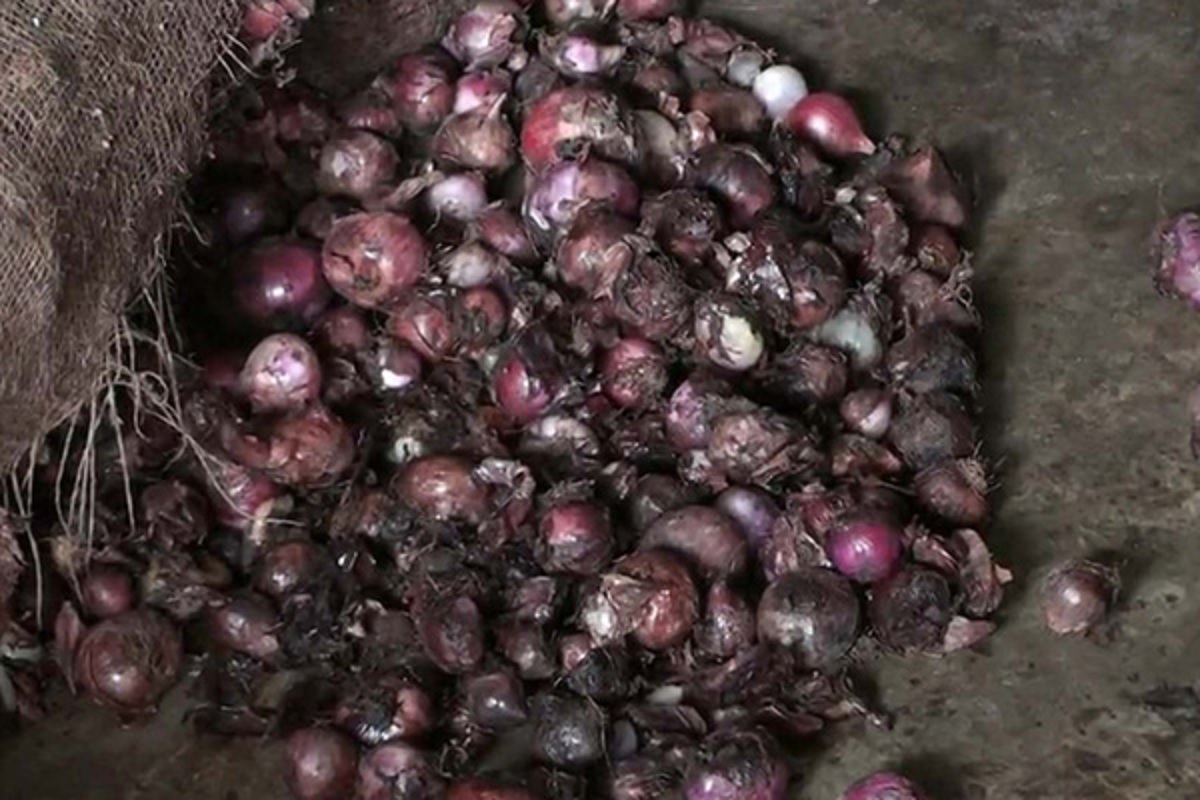 ঠাকুরগাঁওয়ে টিসিবির বিরুদ্ধে পচা পেঁয়াজ বিক্রির অভিযোগ