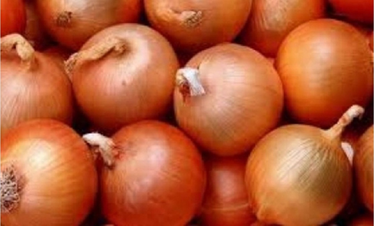 তুরস্ক থেকে পেঁয়াজ আমদানি করছে ভারত