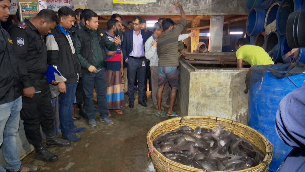 মাছের আড়তে অভিযান, ৫ জনকে কারাদণ্ড