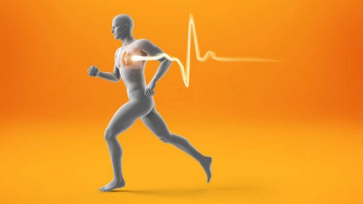 ম্যারাথনে বাড়াতে পারে হৃৎপিণ্ডের ধমনীর আয়ু