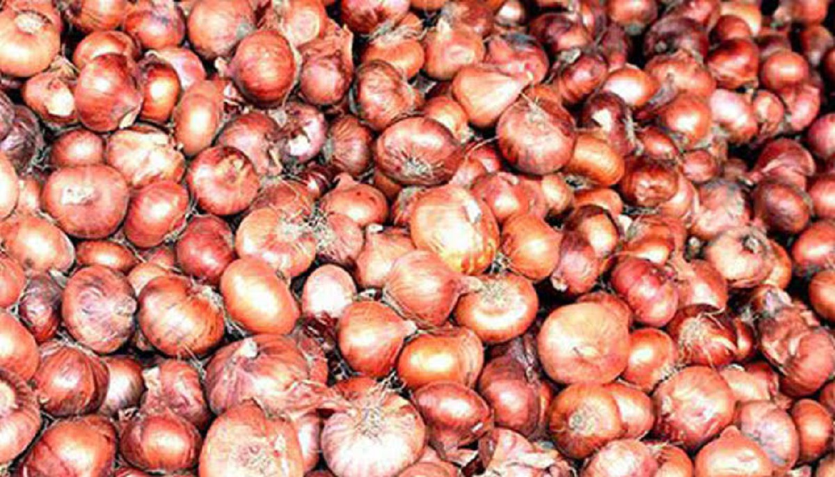 আবারো বেড়েছে দেশি পেঁয়াজের দাম