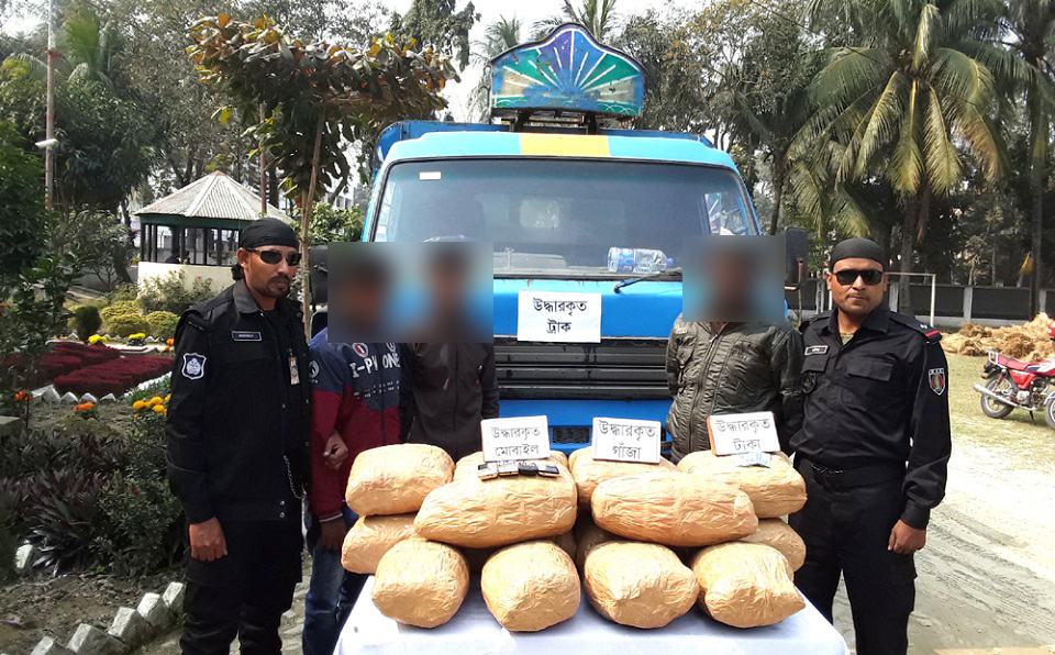 পাবনায় র্যাবের অভিযানে ৬২ কেজি গাঁজাসহ আটক ৩