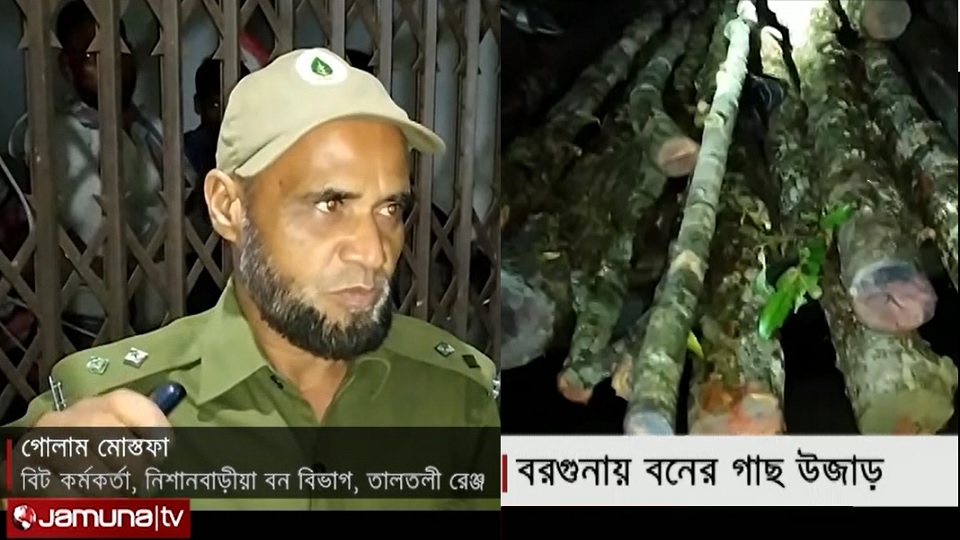 পাচার হচ্ছে সংরক্ষিত বনের গাছ, অভিযোগ বন কর্মকর্তার বিরুদ্ধে