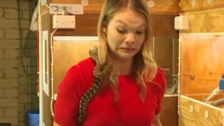 নারী সাংবাদিকের ঘাড়ে উঠে ছোবল মারছে সাপ! ভিডিও ভাইরাল