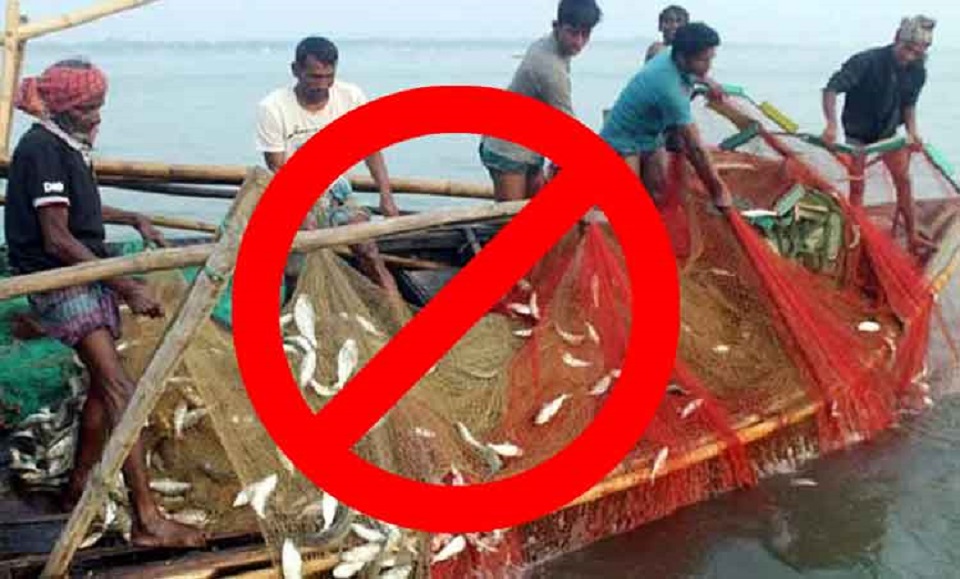 চাঁদপুর ও লক্ষ্মীপুরে ২মাস যেকোন মাছ ধরা নিষিদ্ধ