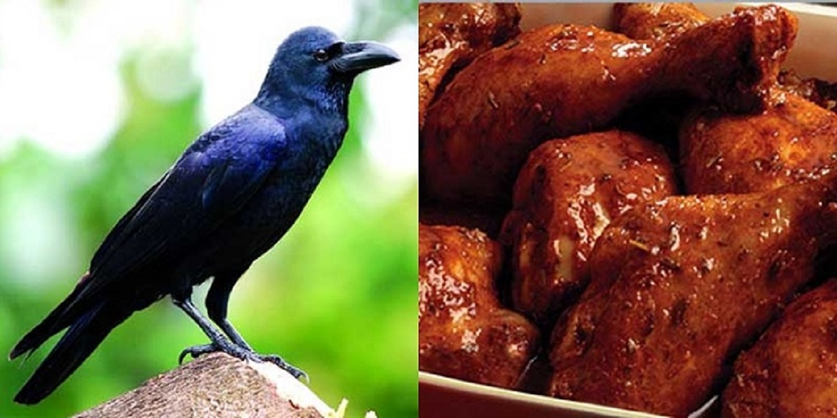 মুরগির নামে কাকের মাংস বিক্রি!