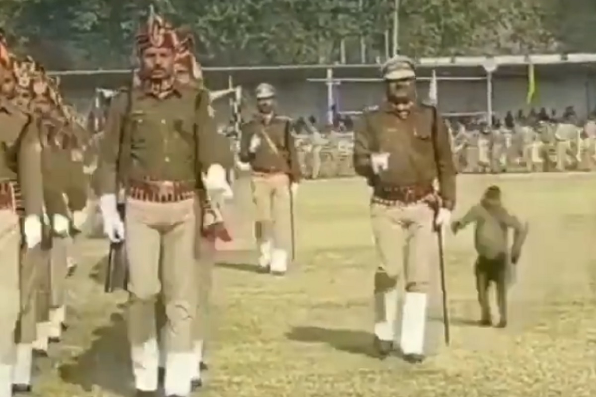 হনুমানের লাথিতে মুখ থুবড়ে পড়ে গেল ভারতীয় পুলিশ!