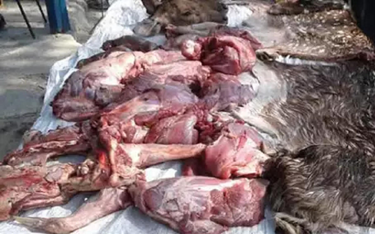 সুন্দরবনে হরিণের মাংসসহ শিকারী আটক