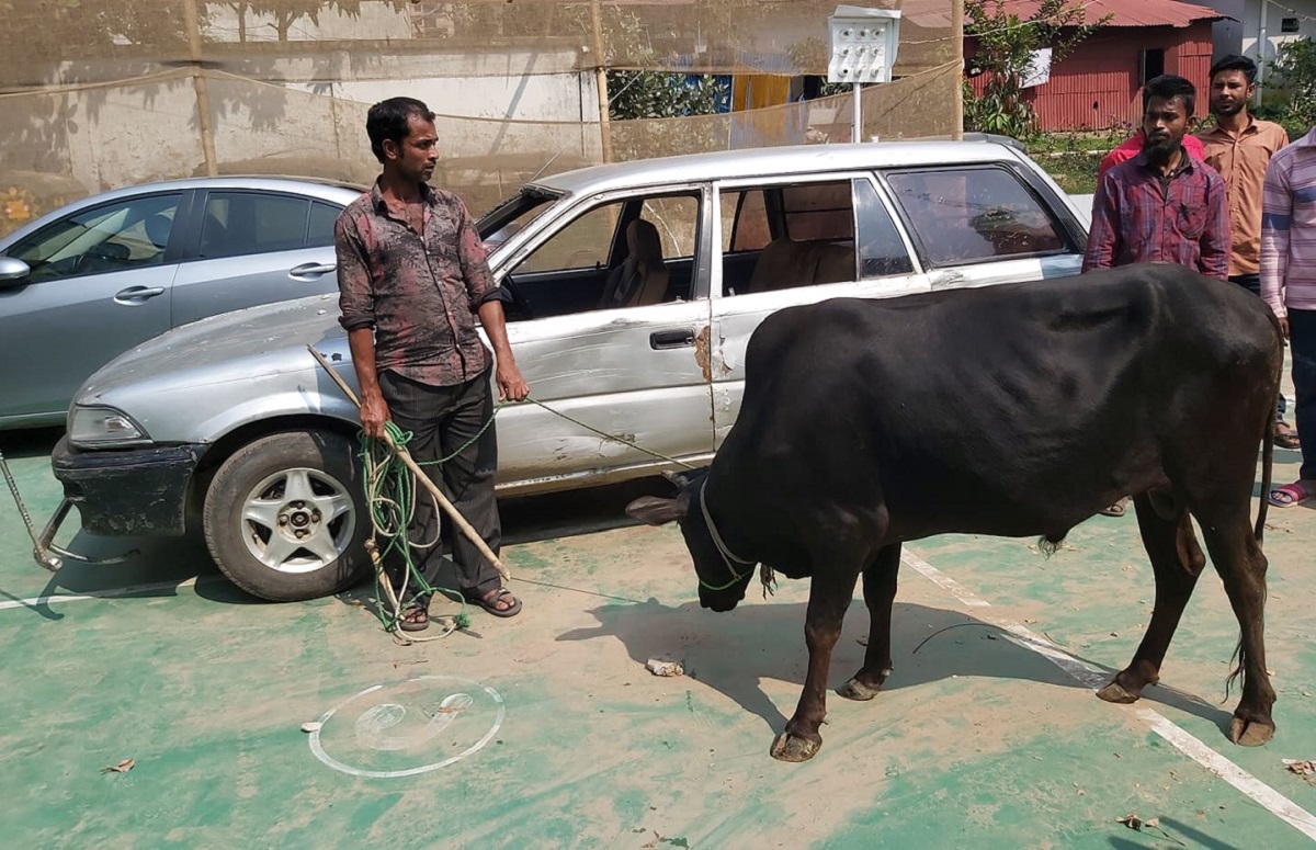 প্রাইভেটকারে করে গরু চুরি, দুই চোরকে গণধোলাই