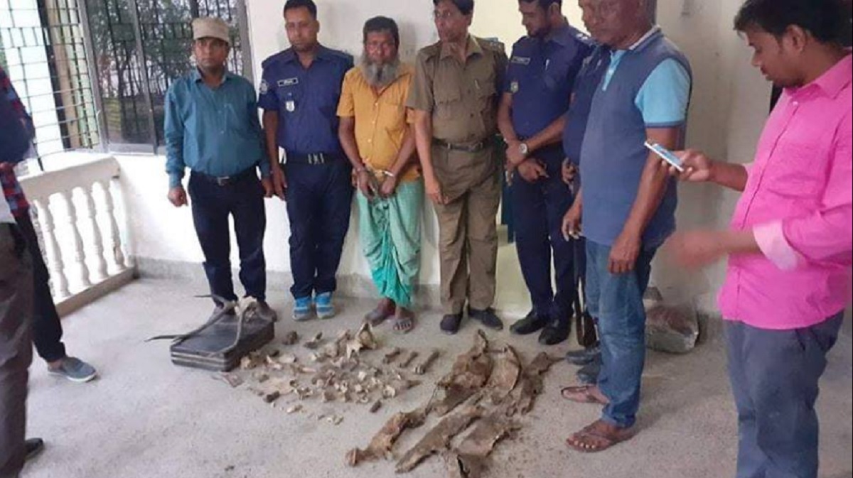 সাতক্ষীরায় বন্যপ্রাণীর বিভিন্ন অংশ উদ্ধার,আটক ১