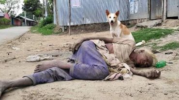 কুকুর পাহারা দিচ্ছে অসহায় বৃদ্ধাকে