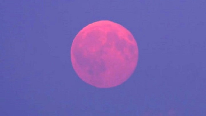 দুষণমুক্ত আকাশে দেখা গেলো ‘গোলাপি চাঁদ’