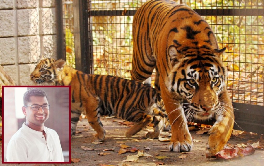 তোমারও কি চিড়িয়াদের মতোই কান্না পাচ্ছে?