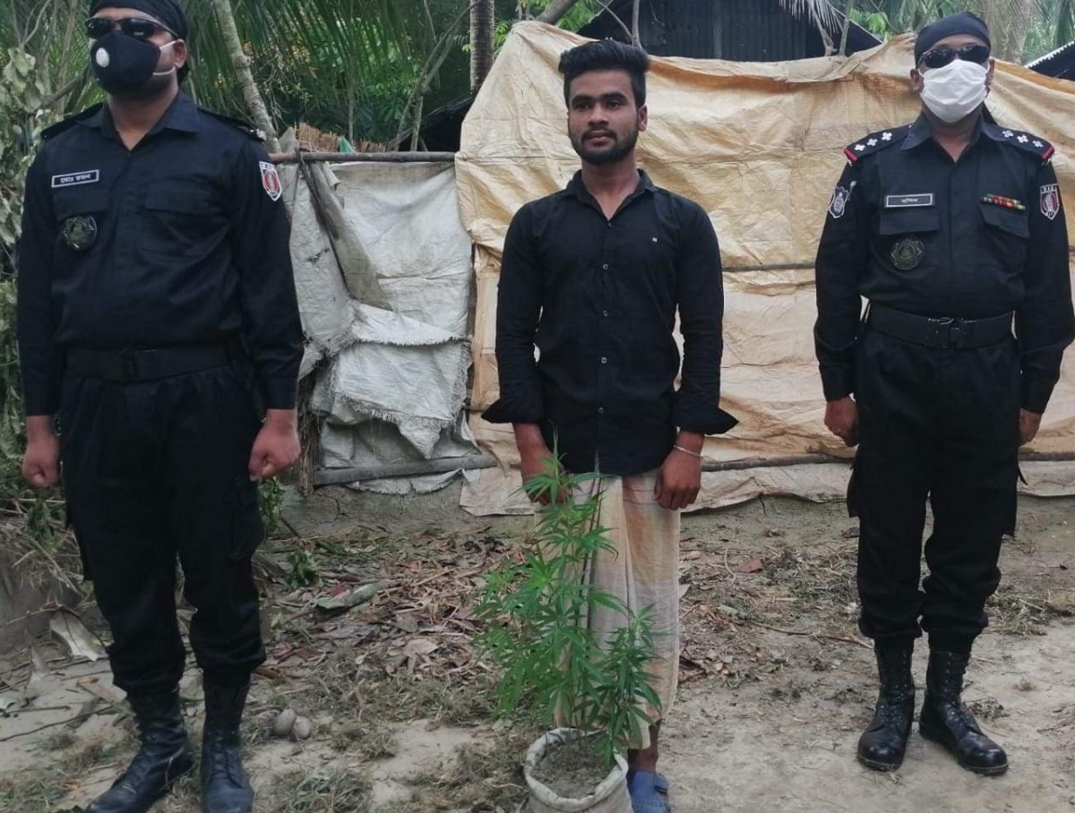 গাঁজা গাছসহ কলেজ শিক্ষার্থী আটক