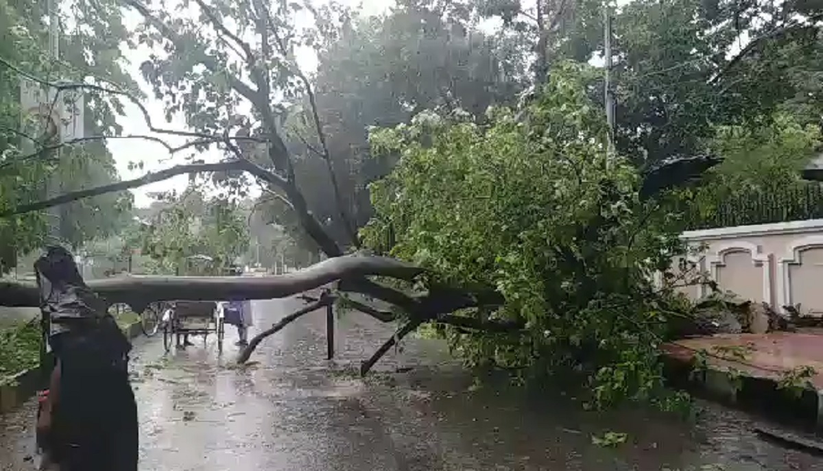 রাজধানীতে ঝড়ের তাণ্ডবে গাছ উপড়ে রাস্তা বন্ধ