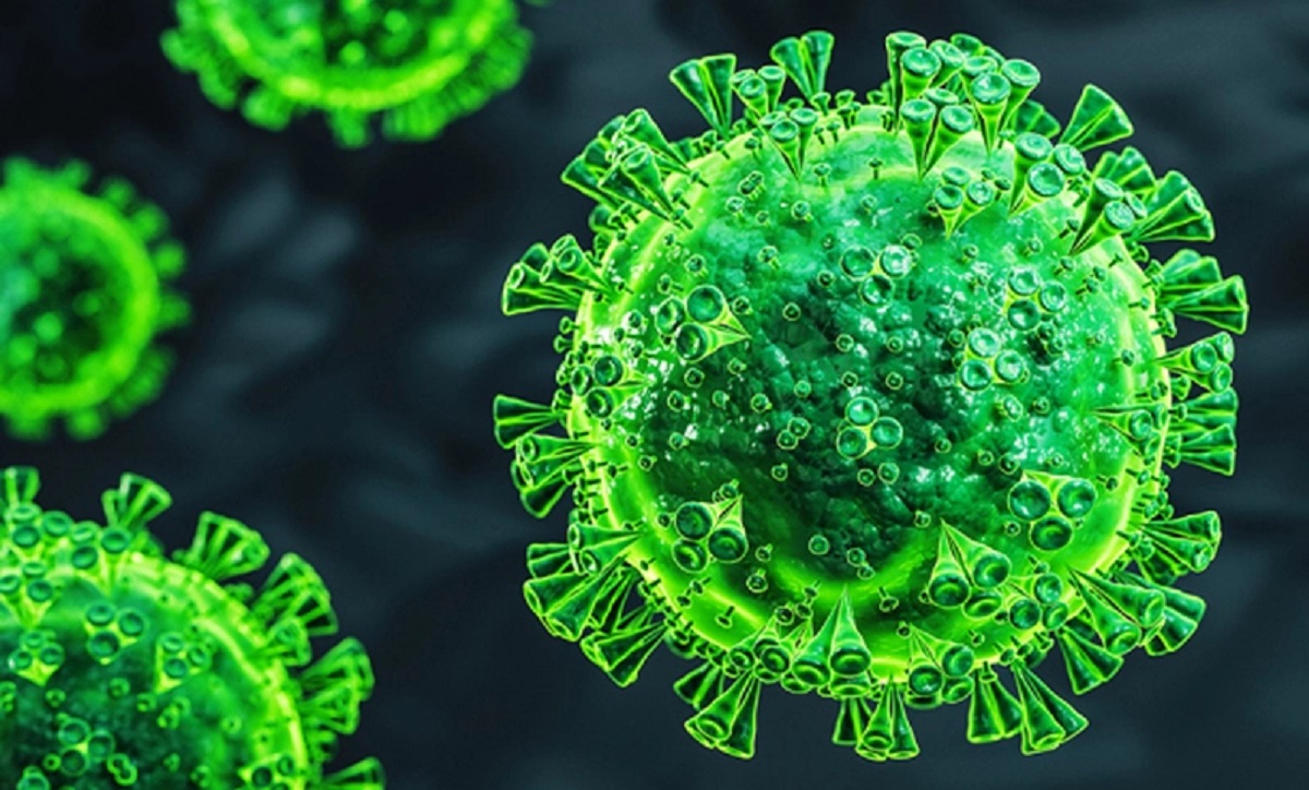 গত ২৪ ঘণ্টায় করোনা থেকে সুস্থ ২৪৫ জন, মোট সুস্থ ৩,১৪৭