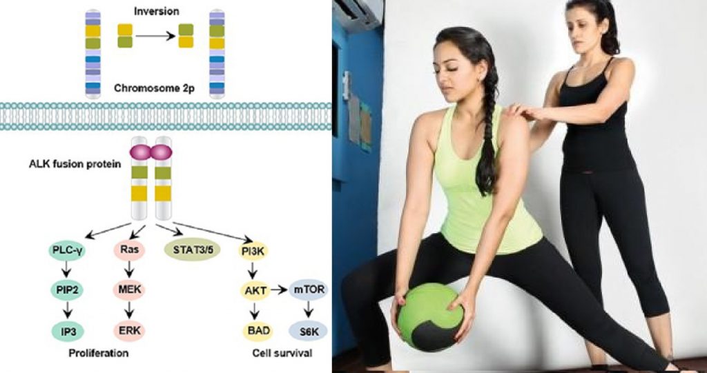 স্থূলদেহীদের জন্য সুখবর! চিকন হওয়ার 'জিন' শনাক্ত করেছে গবেষকরা