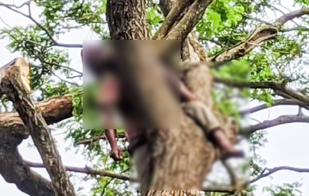 গাছের এক ডাল কাটতে গিয়ে অন্য ডালের চাপায় মর্মান্তিক মৃত্যু