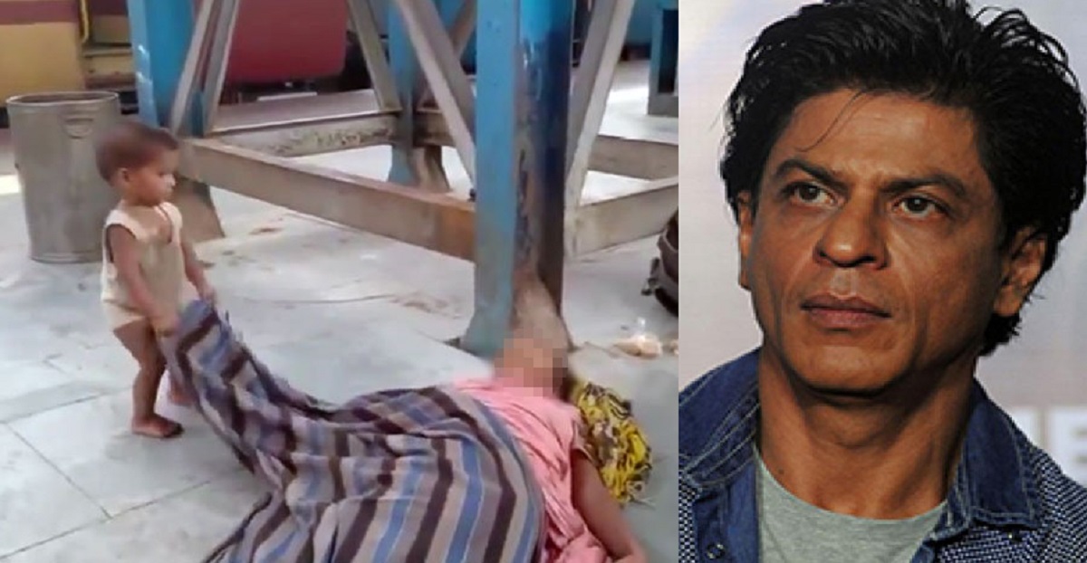 স্টেশনে মৃত মাকে ডেকে তুলতে না পারা সেই শিশুর পাশে শাহরুখ