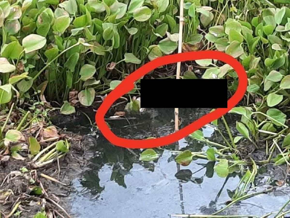 যশোরে এইচএসসি পরীক্ষার্থীকে অপহরণের পর হত্যা, আটক ২