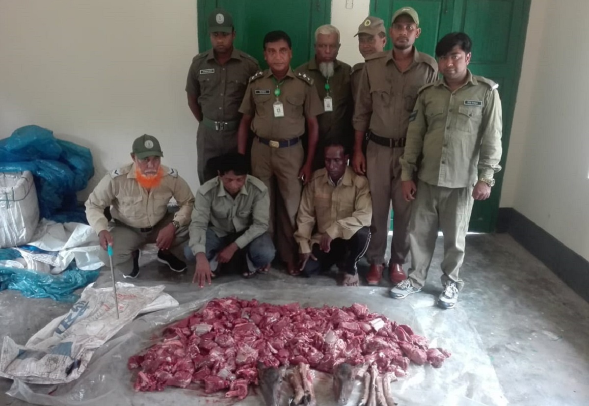 পাচারকালে দুটি হরিণের মাথাসহ ৩০ কেজি মাংস ও নৌকা জব্দ