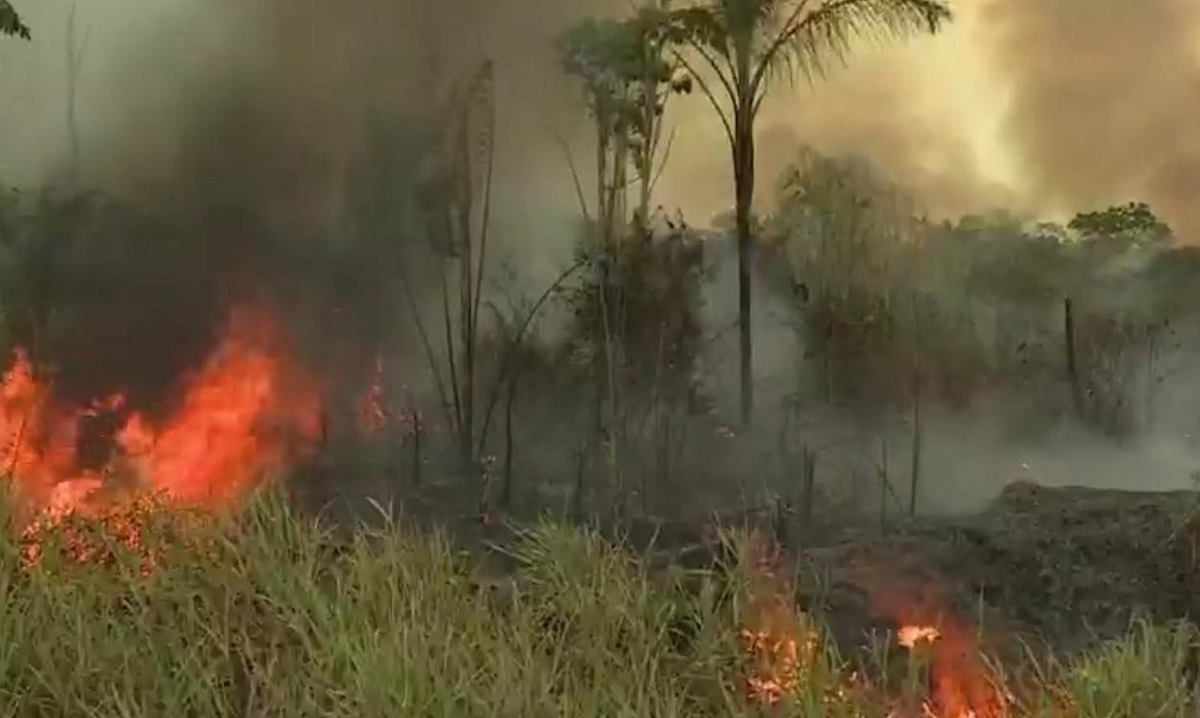 আবারও আগুনে পুড়ছে অ্যামাজন