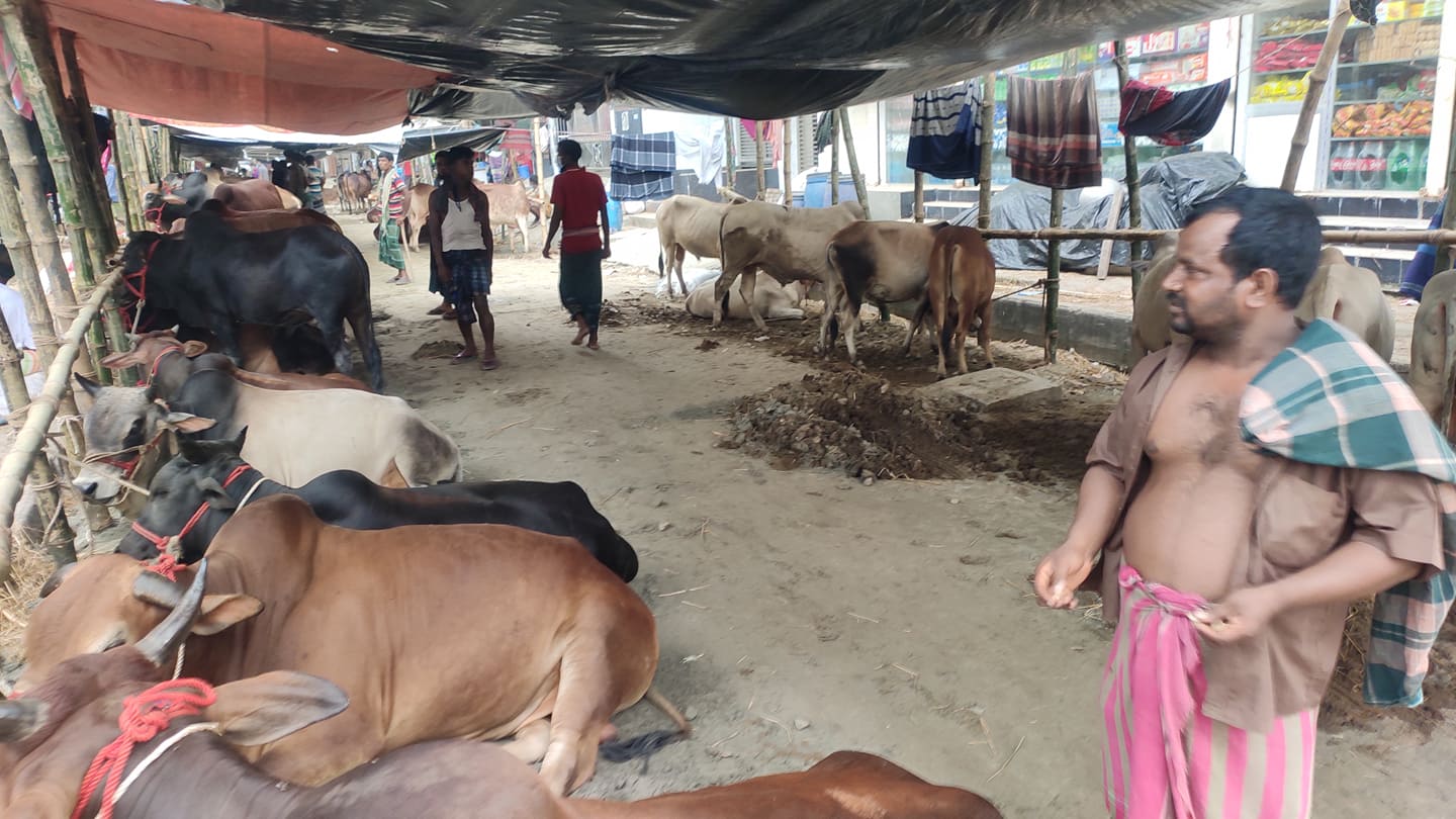 জমে ওঠেনি রাজধানীর পশুর হাট