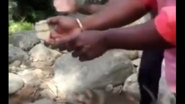 জঙ্গলে বিবাহবার্ষিকী উদযাপনের কেক নিয়ে পালালো হনুমান! (ভিডিও) জঙ্গলে বিবাহবার্ষিকী উদযাপনের কেক নিয়ে পালালো হনুমান