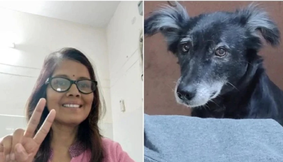 মালিকের মৃত্যুশোকে চার তলা থেকে ঝাঁপ দিয়ে কুকুরের আত্মহত্যা