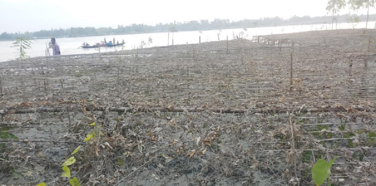 কুড়িগ্রামে বন্যায় ক্ষতি প্রায় ১৪০ কোটি টাকার ফসল