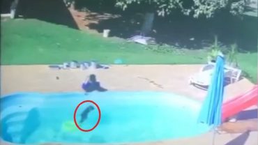 জলে ডুবে যাওয়ার হাত থেকে বন্ধুকে বাঁচালো তিন বছরের শিশু! (ভিডিও) জলে ডুবে যাওয়ার হাত থেকে বন্ধুকে বাঁচাল তিন বছরের শিশু