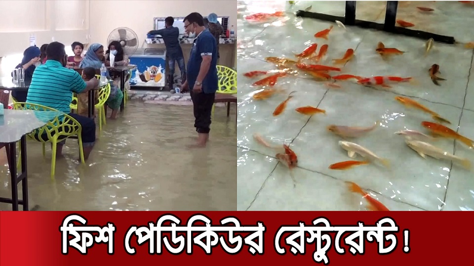 রেস্টুরেন্টের মেঝেতে মাছেদের জলকেলি