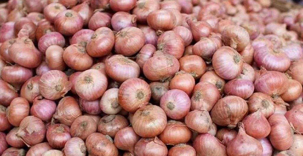 পূর্ব ঘোষণা ছাড়াই পেঁয়াজ রফতানি বন্ধ করলো ভারত