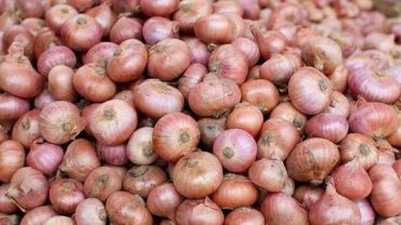 পূর্ব ঘোষণা ছাড়াই পেঁয়াজ রফতানি বন্ধ করলো ভারত