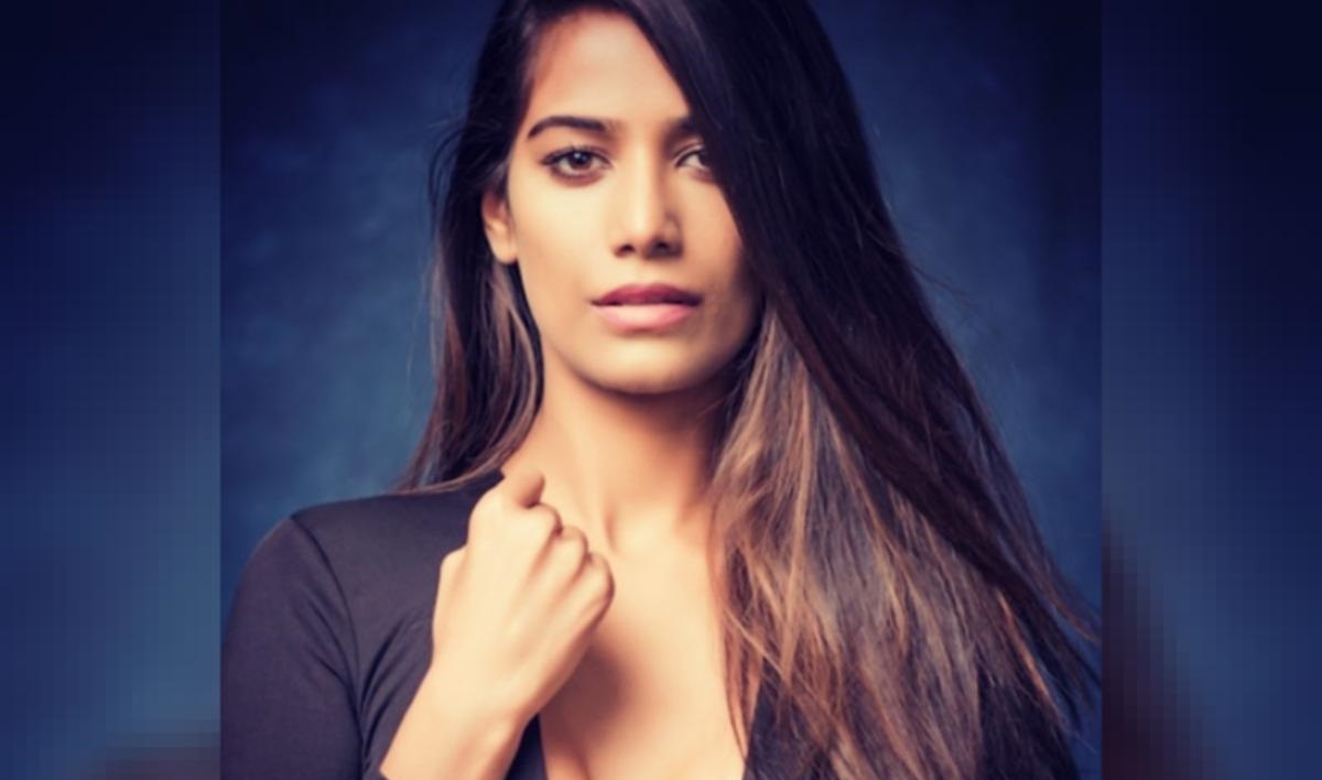 হানিমুনে গিয়ে স্বামীর বিরুদ্ধে যৌন হয়রানির অভিযোগ পুনম পাণ্ডের