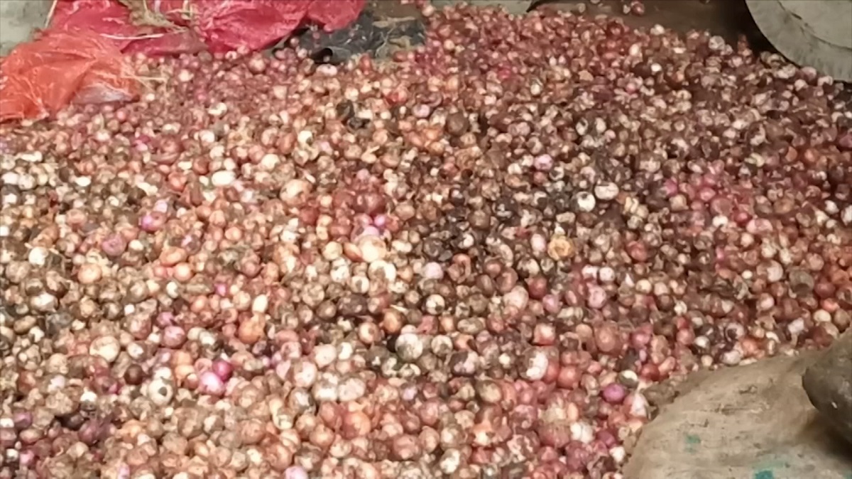 ভারত থেকে আসা পেঁয়াজের অর্ধেকই পচা