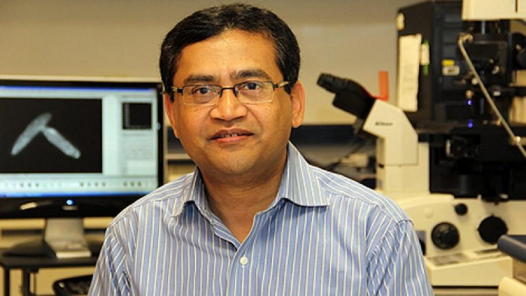 নোবেল শান্তি পুরস্কারের মনোনয়ন তালিকায় বাংলাদেশের ড. রুহুল আবিদ