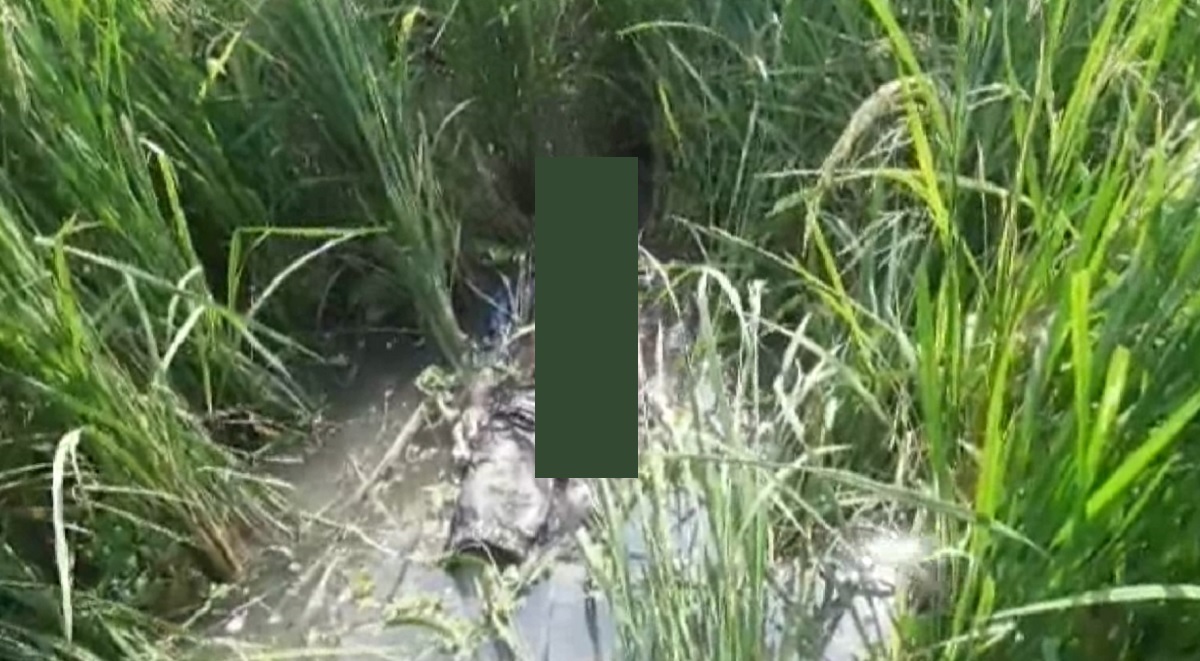 ধানক্ষেত থেকে ৩য় শ্রেণির স্কুলছাত্রের মরদেহ উদ্ধার