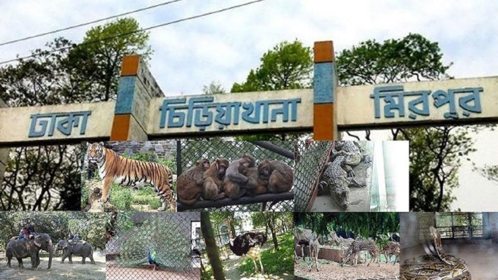 খুলছে জাতীয় চিড়িয়াখানা, প্রতি রোববার বিনামূল্যে প্রবেশ