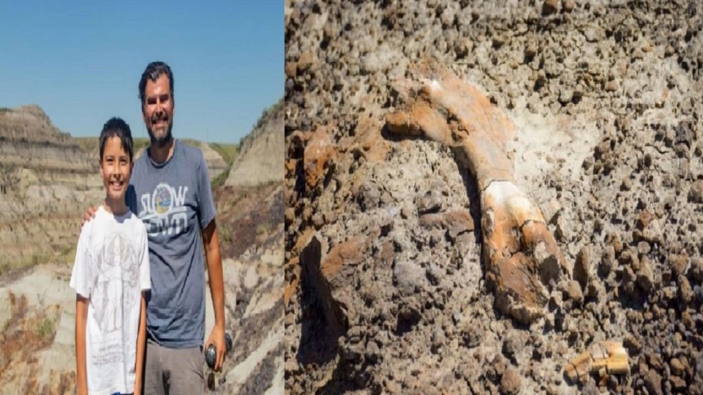 কানাডায় ডাইনোসরের কঙ্কাল আবিষ্কার করলো ১২ বছরের শিশু