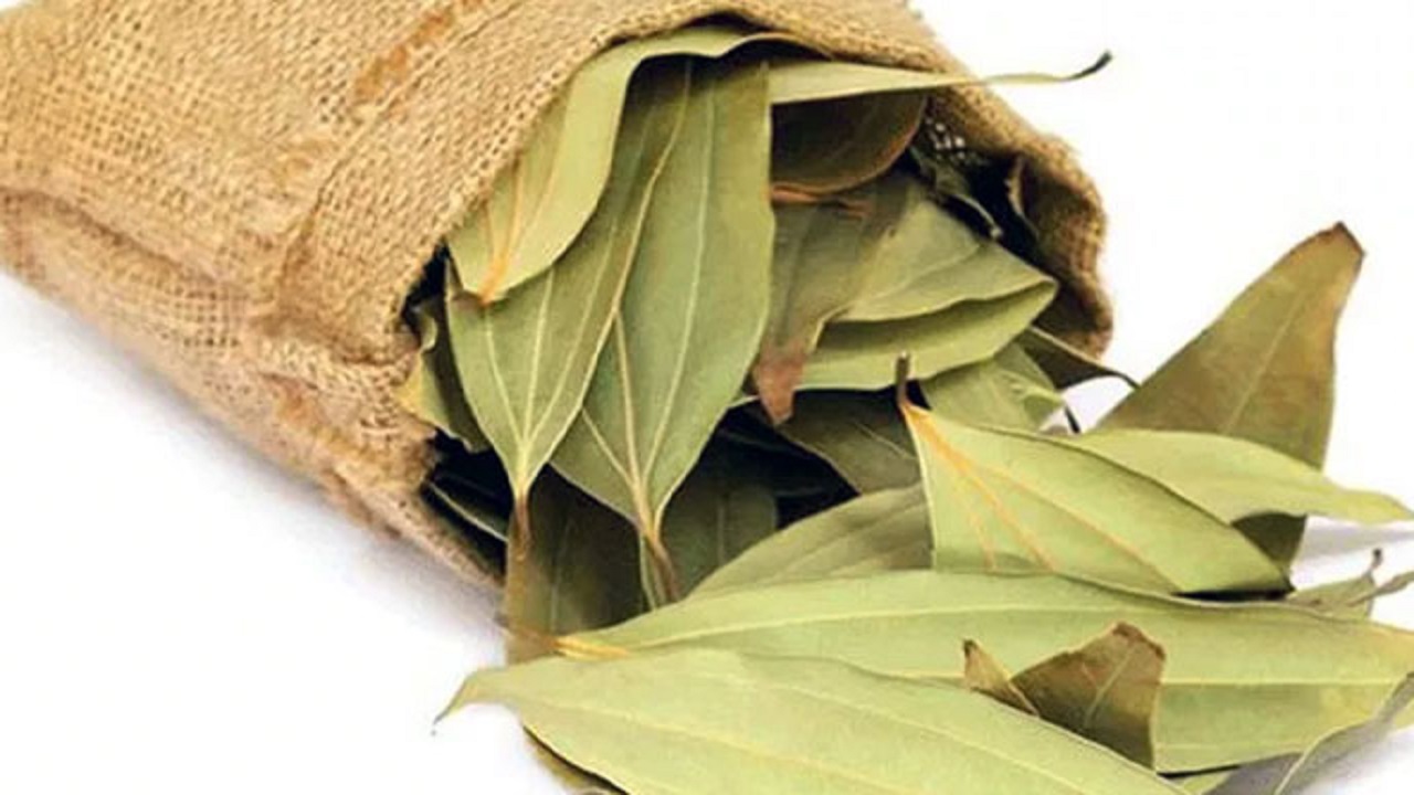 তেজপাতার ঔষধি গুণ তেজপাতার ঔষধি গুণ