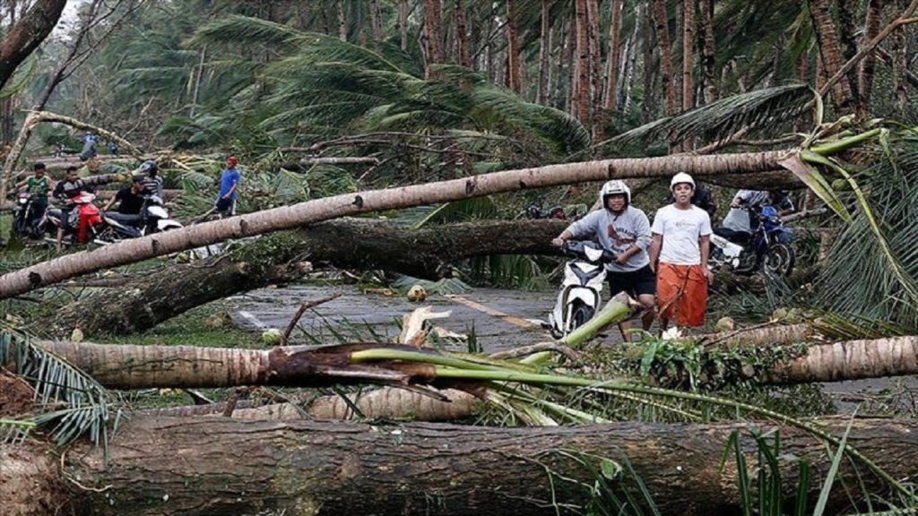 ঘূর্ণিঝড় ও ভূমিধসে ভিয়েতনামে ২১ জনের মৃত্যু