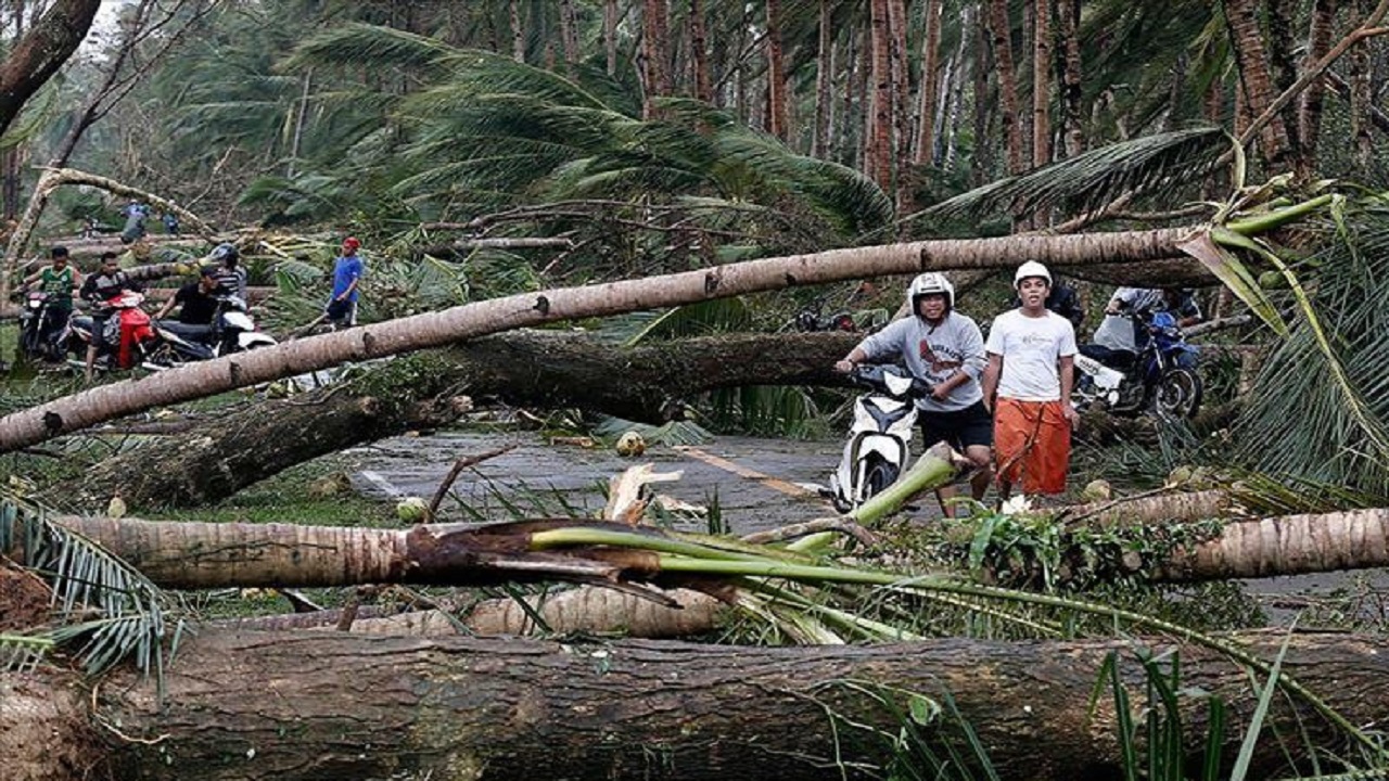 ঘূর্ণিঝড় ও ভূমিধসে ভিয়েতনামে ২১ জনের মৃত্যু ঘূর্ণিঝড় ও ভূমিধসে ভিয়েতনামে ২১ জনের মৃত্যু