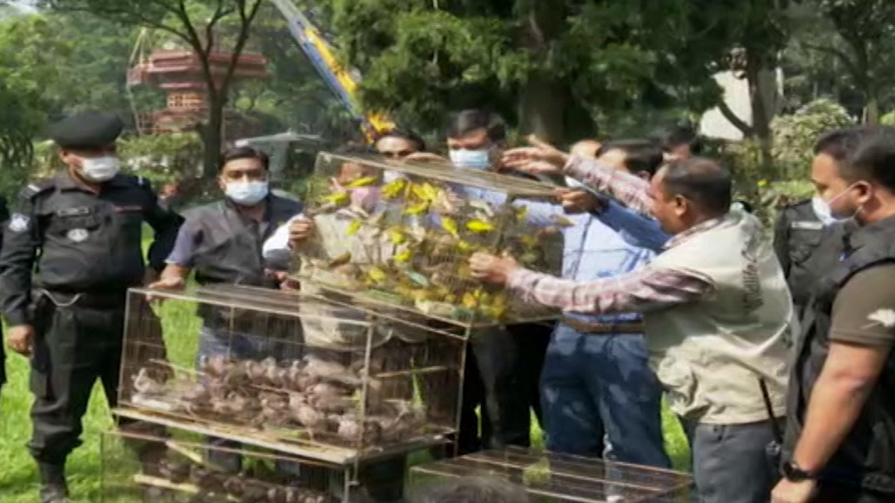 মুক্তি পেলো ৭১০টি টিয়া-মুনিয়া-ঘুঘু; ৪ জনকে কারাদণ্ড মুক্তি পেলো ৭১০টি টিয়া-মুনিয়া-ঘুঘু; ৪ জনকে কারাদণ্ড