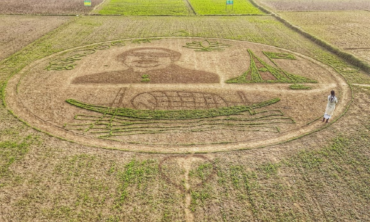 শস্য দিয়ে কৃষক আঁকলেন বঙ্গবন্ধুর প্রতিকৃতি