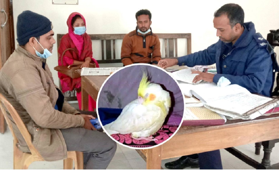 হারানো পোষা পাখি ফিরে পেতে থানায় অভিযোগ দায়ের এক দম্পতির