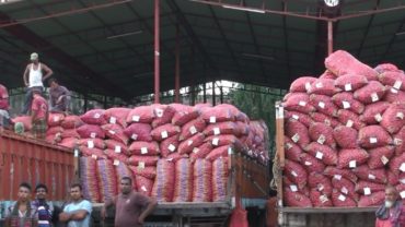 ভারত থেকে শুরু হলো পেঁয়াজ আমদানি