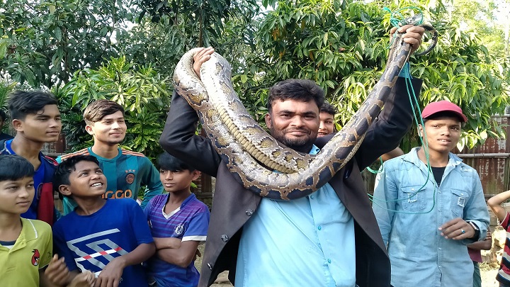 টেকনাফে ১১ ফুট দৈর্ঘের অজগর অবমুক্ত