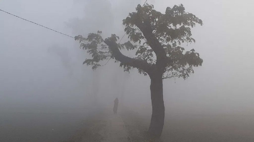 ঘন কুয়াশা আর তীব্র ঠাণ্ডায় বিপর্যস্ত জনজীবন