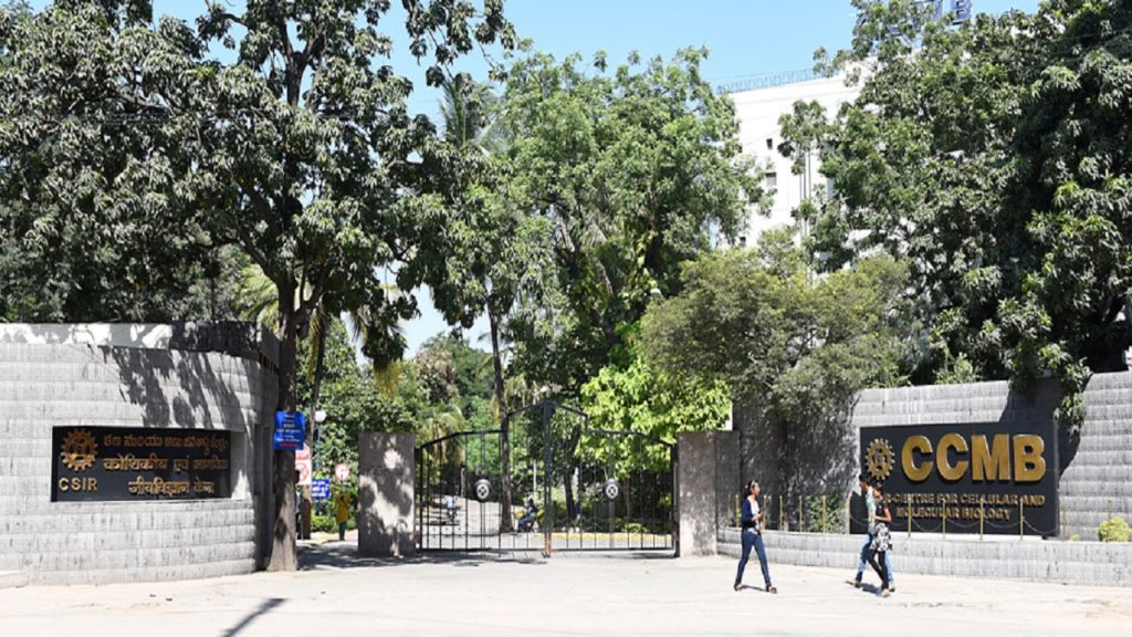 'শুধু ভারতেই রয়েছে ৭ হাজার ৫৬৯ রকম ভিন্ন বৈশিষ্ট্যের করোনাভাইরাস'